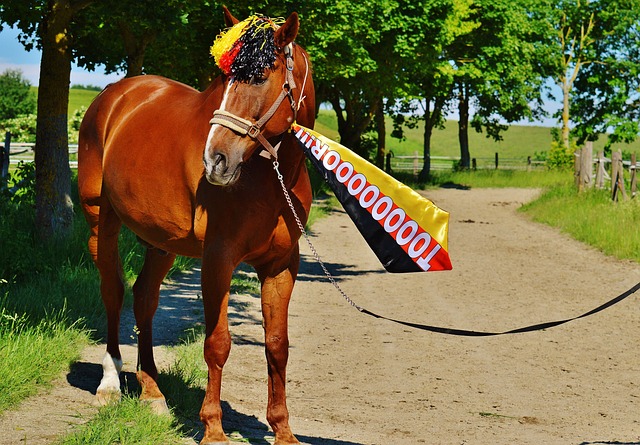 她将爱情的 她将爱情的