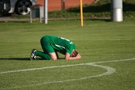 表明他们有 表明他们有