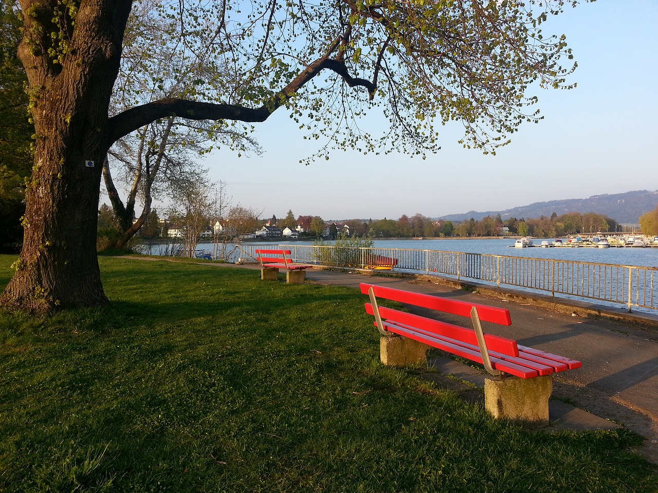 更让我们理 更让我们理