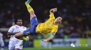 离了体育精 离了体育精