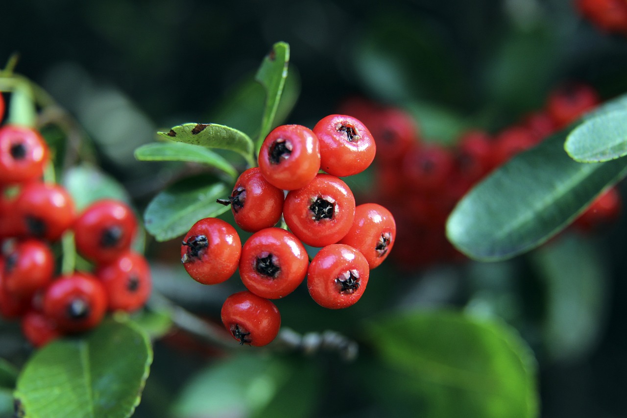 高科技保暖 高科技保暖