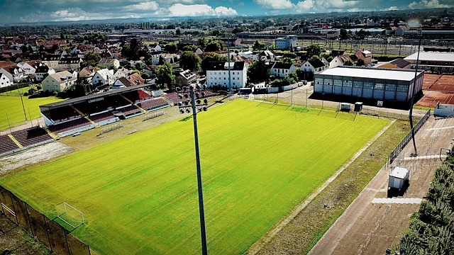 团队的协作 团队的协作