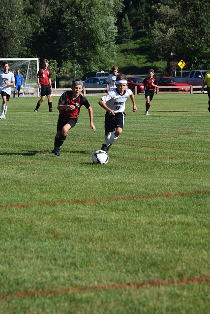 耕耘和强大 耕耘和强大